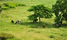 O血型君有什么怪癖