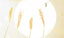 第一运程 2020年十二生肖5月运程解析