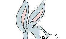 AB血型的属兔人