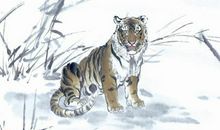 1986年属虎的人2020年运势大全及破解