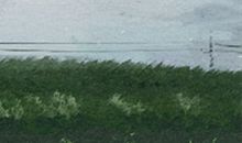 详解：浓眉毛男人的命运