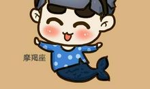 摩羯座的理财败点