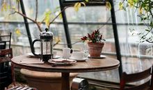 属龙的人办公室养什么花最旺财