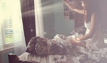 射手座的事业点评