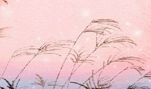 浅谈黎族三月三的来历与传说