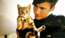 12星座好男人排行榜