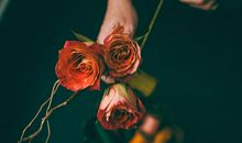 狂月今日运势2019年5月12日