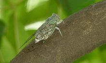 AB血型君能在其他血型那学到什么