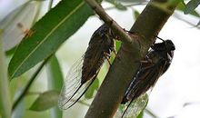 B型素质的AB血型人特征