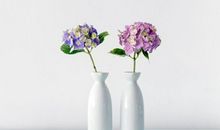 狂月今日运势2019年3月27日