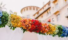 AB型血君的代表颜色