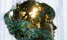 狂月今日运势2018年2月4日