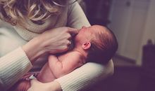 怀孕总是梦到动物