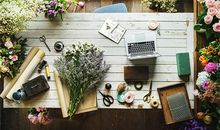 属鼠的人办公室养什么花最旺财