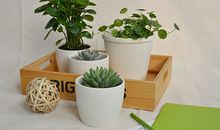 狂月今日运势2018年9月8日