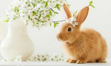 狂月今日运势2018年9月9日