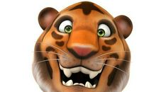 生肖虎的投资理财忠告