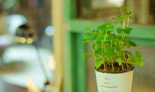 狂月今日运势2018年9月12日