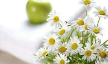 说说O型血君的健康阻碍