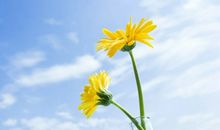 说说A型血君的健康阻碍