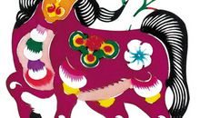 2002年出生的属马人2020年运势