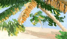 手把手教你和射手男分手后怎样相处