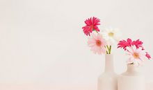 狂月今日运势2018年9月16日