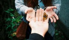 O型血男生和AB型血女生