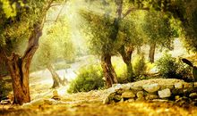 狂月今日运势2018年9月17日