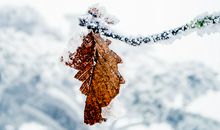 2019立冬是几月几日，立冬民间习俗