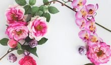 苏珊米勒2019年11月巨蟹座运势完整版