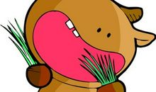 金牛座+AB血型的人是什么性格