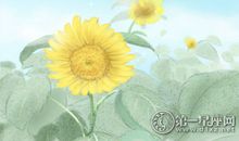 娱乐圈里的十个最具有克夫相的女人