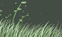 天秤座会不会随便爱上一个人