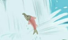 全面解析：额头宽是好是坏？