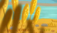 解析：额头短面相