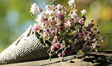 狂月今日运势2018年8月15日