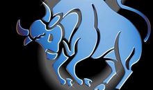 金牛座最喜欢什么课