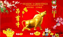 生肖龙起名的利与不利