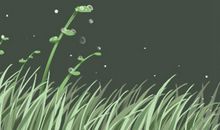 双鱼座会不会随便爱上一个人