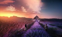 2000年属龙的是什么命