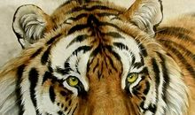 属虎的和什么属相最配