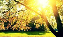 O型血君的代表颜色