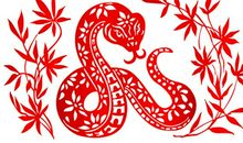 1977年属蛇的人2020年运势大全及破解