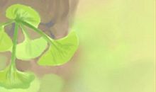 开运面相会生带财小孩的人