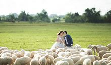 O型血人恋爱有哪些特点