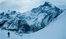 1970年属狗的大运年是哪年