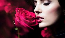 心理测试：你是哪一种玫瑰？