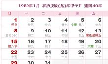 1989年日历表,1989年农历表（阴历阳历对照表）