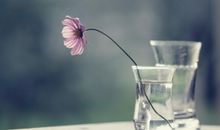 AB型血君如何看待朋友的承诺